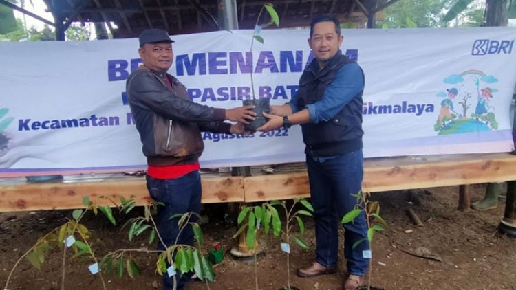 Bank BRI Unit Manonjaya Berikan 200 Bibit Durian di Desa Pasirbatang