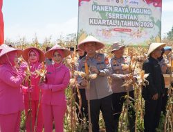 Panen Jagung Serentak di Mangunreja, Polres Tasikmalaya Perkuat Ketahanan Pangan