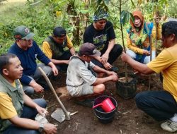 Pemprov Jabar dan Pemkot Tasikmalaya Tanam Pohon di Mangkubumi, Dorong Pelestarian Hutan