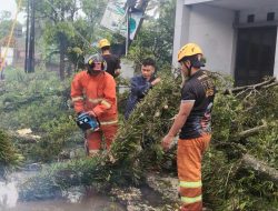 Hujan Deras dan Angin Kencang, Sejumlah Pohon Tumbang Ganggu Akses Jalan di Tasikmalaya