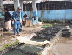 Pasar Ikan Singaparna Tasikmalaya Kian Sepi, Terancam Mati Suri