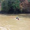 Tim Gabungan Temukan Korban Tenggelam di Sungai Ciwulan, Berjarak 6 Km dari Lokasi Awal