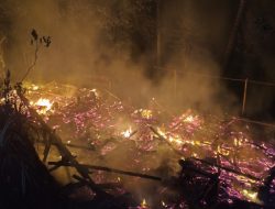 Dua Rumah Warga di Cigalontang Ludes Terbakar, Diduga Akibat Korsleting Listrik