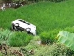 Angkot Terjun ke Jurang di Cigalontang, Sopir Selamat Meski Kendaraan Ringsek