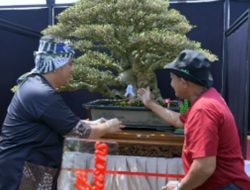 Kontes Bonsai Nasional Digelar di Kota Tasikmalaya, Diky Candra Dorong Wisata dan Ekonomi