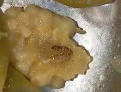 Video Dugaan Makanan MBG Berulat di Tasikmalaya Viral, ICMI Desak Audit Dapur
