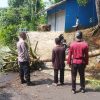 Dua Pemotor Nyaris Tewas Tertimpa Pohon Kelapa Tumbang di Tasikmalaya