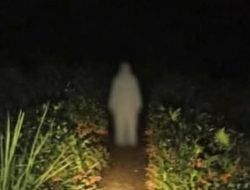 Misteri Tengah Malam di Cikalong, Pengendara Motor Dihadang Sosok Mahluk Misterius