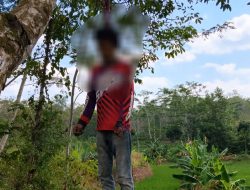 Warga Cipatujah Dikejutkan Penemuan Pria Tewas Tergantung di Pohon Karet