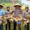 Dukung Asta Cita Presiden, Satreskrim Polres Tasikmalaya Pantau Pertumbuhan Jagung di Sukaraja 