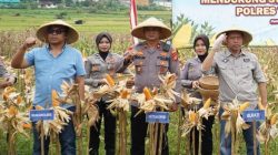 Dukung Asta Cita Presiden, Satreskrim Polres Tasikmalaya Pantau Pertumbuhan Jagung di Sukaraja 