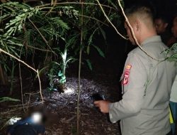 Diduga Depresi karena Ekonomi, Pemuda di Cipatujah Tinggalkan Pesan Perpisahan Sebelum Tewas