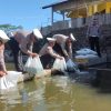 Salurkan Kambing dan Benih Ikan, Program SUJUD Satlantas Polres Tasikmalaya Dorong Kemandirian Panti Asuhan