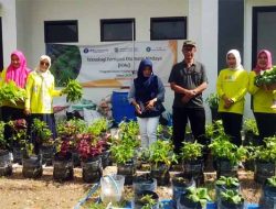 Dorong Ketahanan Pangan Keluarga, TP PKK Kota Tasik Jalankan Program Pertanian Sistem FONi