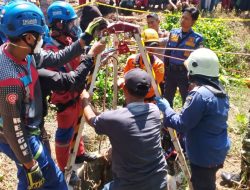 12 Hari Dicari, Aam Amelia Ditemukan Tak Bernyawa di Sumur Tua, Ada Kobra di Samping Jasad