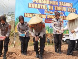 Kemarau Mengancam, Polres Tasikmalaya Justru Tanam Jagung di Lahan 5 Hektare