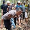 Geger! Tengkorak dan Tulang Diduga Manusia Ditemukan di Kebun Tasikmalaya