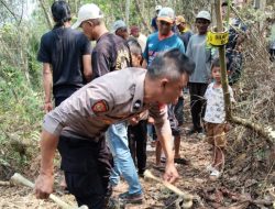 Geger! Tengkorak dan Tulang Diduga Manusia Ditemukan di Kebun Tasikmalaya