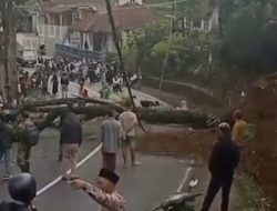 Pohon Pete Tumbang Tutup Jalur Tasikmalaya-Garut, Arus Lalu Lintas Lumpuh
