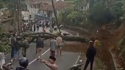 Pohon Pete Tumbang Tutup Jalur Tasikmalaya-Garut, Arus Lalu Lintas Lumpuh